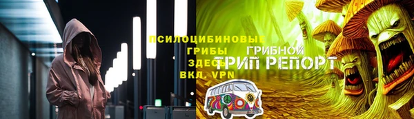 гашик Алзамай