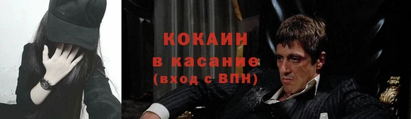 гидра Алексин