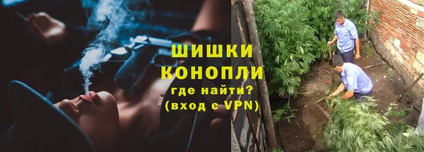 гашик Алзамай