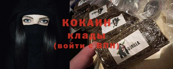 гидра Алексин
