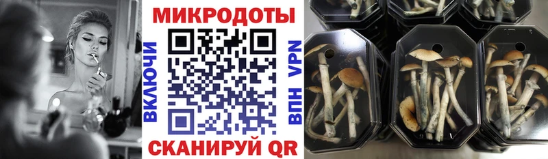 Псилоцибиновые грибы мухоморы  цены наркотик  ОМГ ОМГ маркетплейс  Тейково 